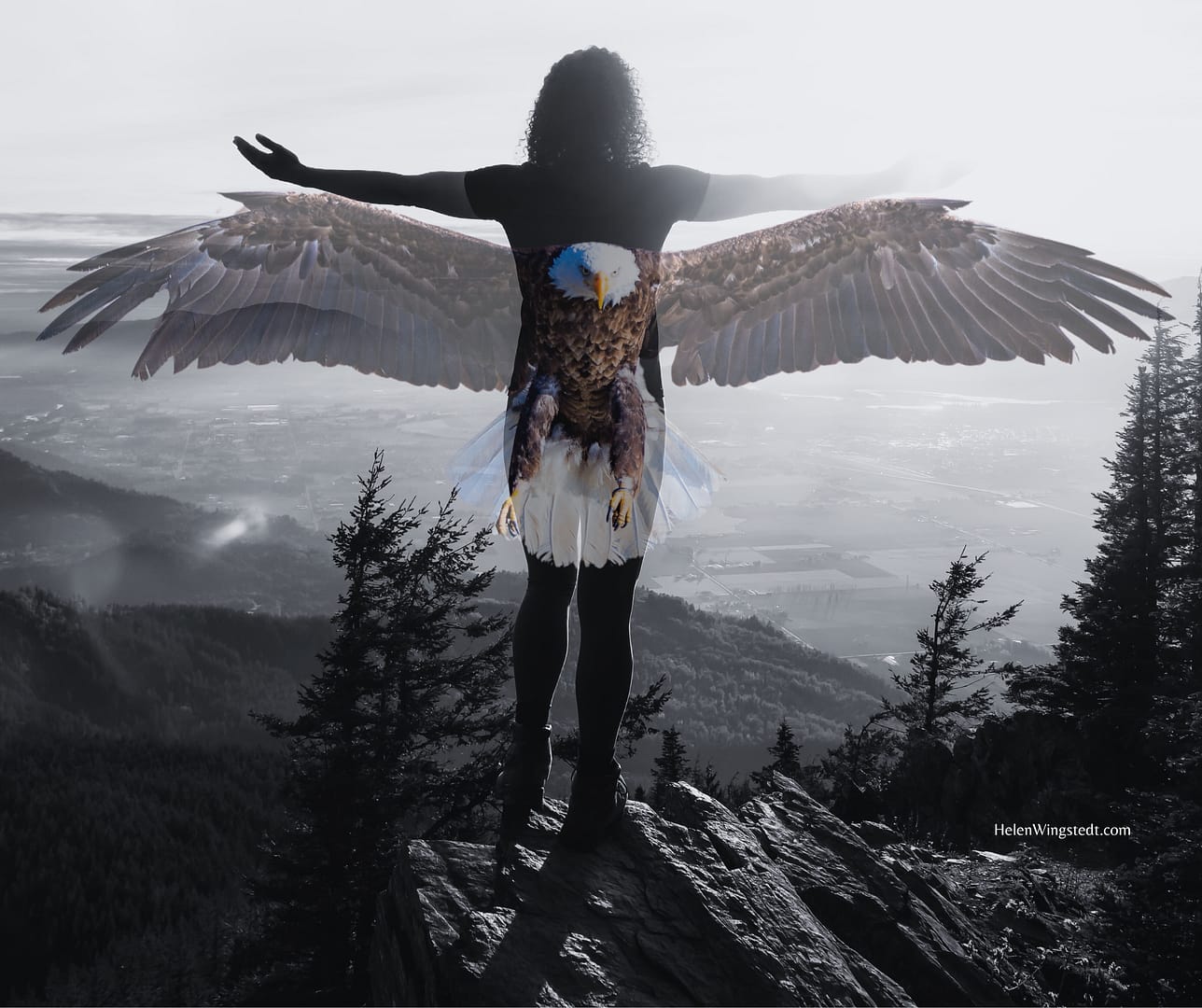 The eagle symbolises the ability to see