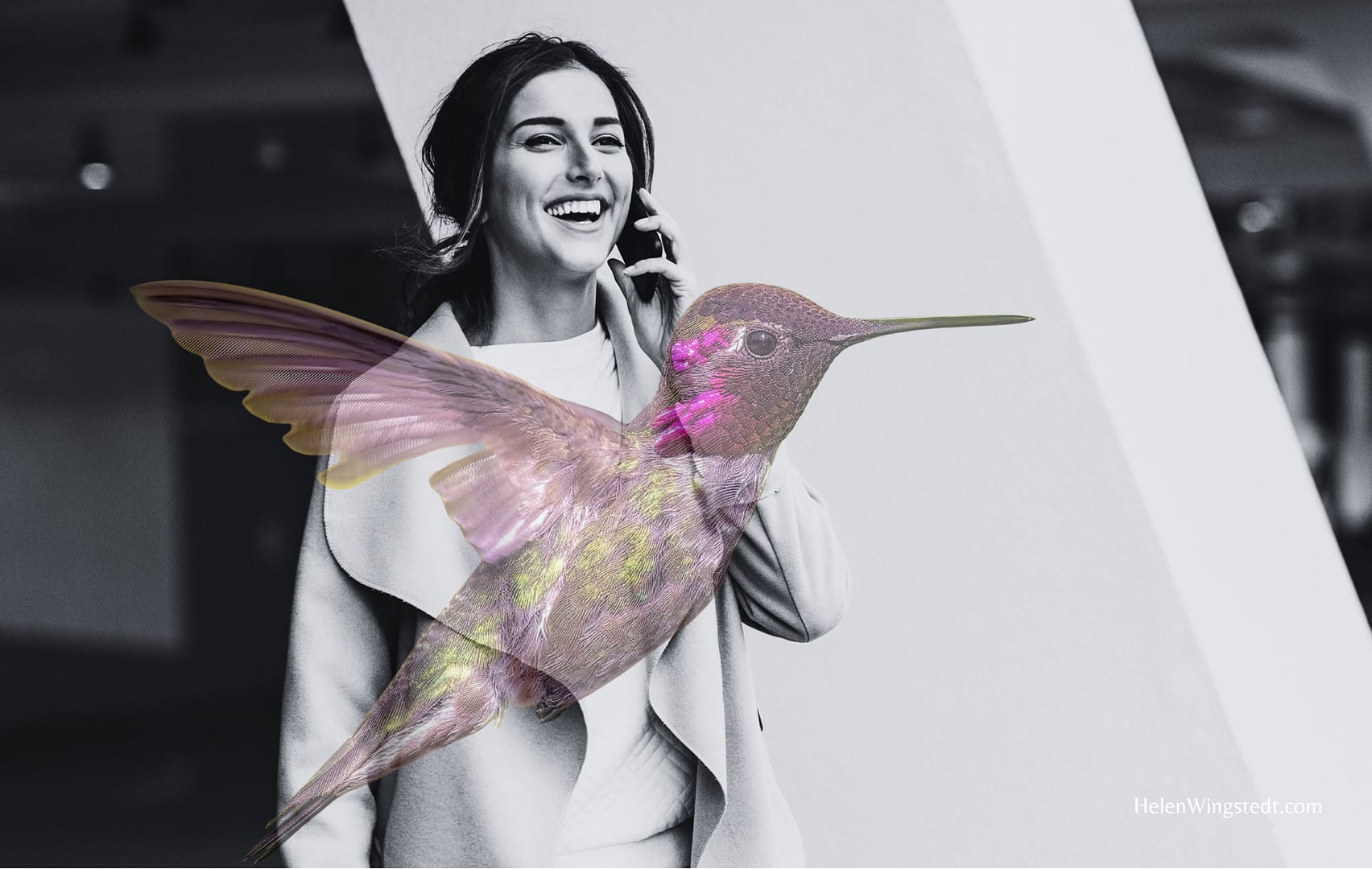 Hummingbird sees the world differently