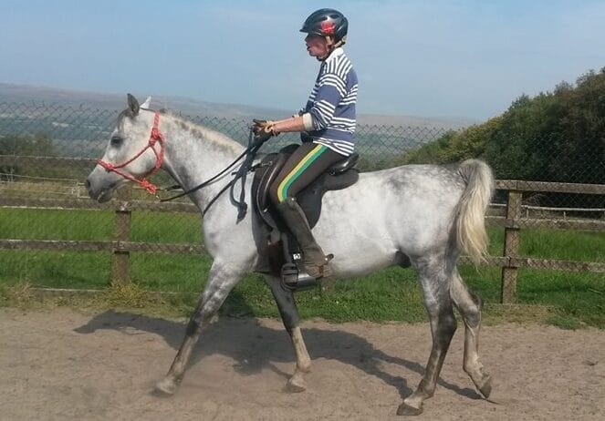 Inspired Horsemanship Becky Jones and Arabian Stallion Wiper Inspired Horsemanship Becky Jones and Arabian Stallion Wiper